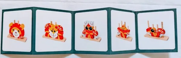 ANIMAL VARIABLE BUILDING BLOCKS